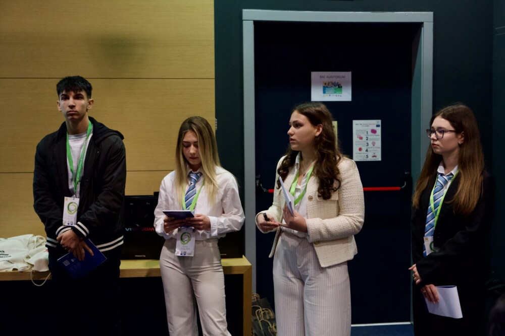 Systezanie IA 8 Scaled